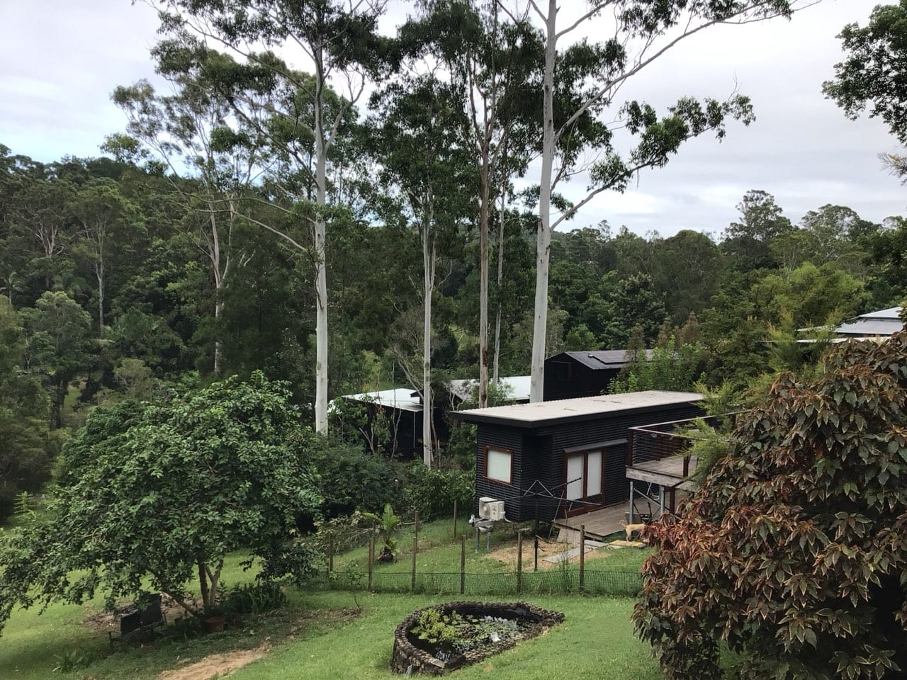 Eumundi property after Sunshine Tree Services finished the gum tree job.